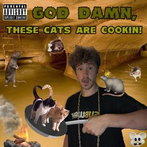 God Damn, These Cats Are Cookin! (Explicit)