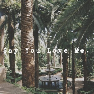 Say You Love Me