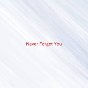 Never Forget You (Instrumental version originally performed by MNEK, Zara Larsson)