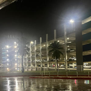 cashcow (feat. sixsace) (Explicit)