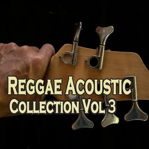 Reggae Acoustic Collection, Vol. 3