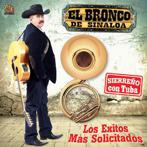 Los Exitos Mas Solicitados (Sierreño Con Tuba)