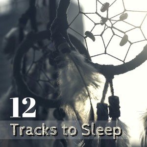 12 Tracks to Sleep - Release Stress & Anxiety