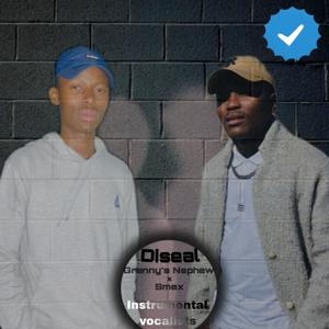 (Diseal)2.0 (feat. Smax)