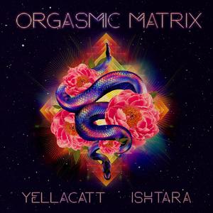 Orgasmic Matrix (feat. ISHTARA)