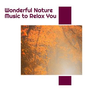 Wonderful Nature Music to Relax You