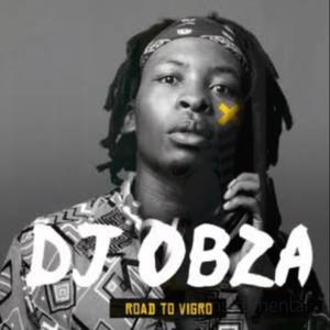 dj obza road to vigro