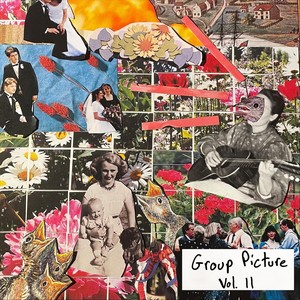 Group Picture, Vol. 11 (Explicit)