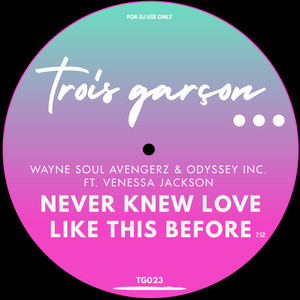 Never Knew Love Like This Before (Trois Garçon Mix)