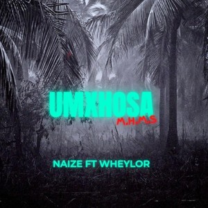 Umxhosa (feat. Wheylor)