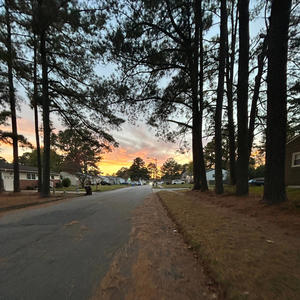 I Wrote this for Emely.. (Explicit)