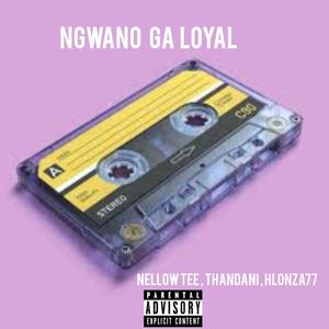 NGWANO GA LOYAL (feat. Thandani & Nellow Tee) [Explicit]