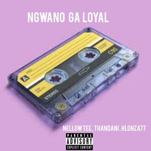 NGWANO GA LOYAL (feat. Thandani & Nellow Tee) (Explicit)