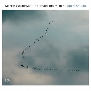 Marcin Wasilewski Trio - Austin