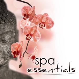 Zen Spa Sounds (Falling Rain Ambiance)