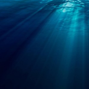 某位不愿意透露姓名的才女 - 你 (D2K Remix)