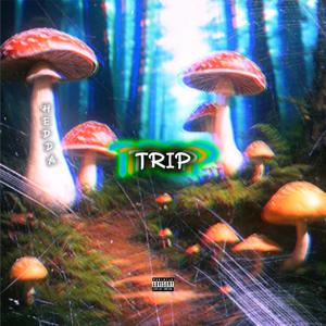 TRIP