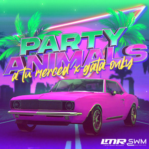 Party Animal x A tu Merced x Gata only