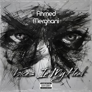 Voices In My Head (Explicit)