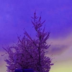 DIVE IN A DEEPER STATE