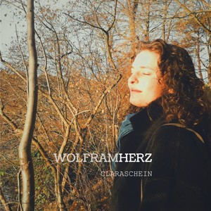 Wolframherz