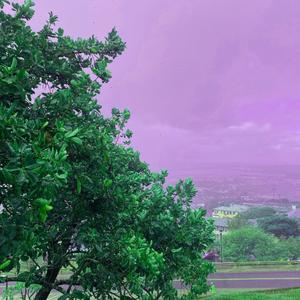 the state (feat. Wuffy) (Explicit)