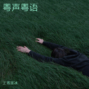 独撑岁月封面