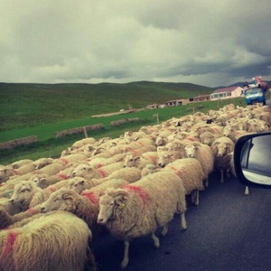 陈茻决定去旅行