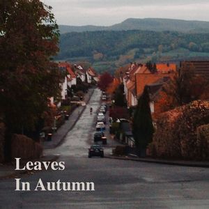 Leaves in Autumn (Single Edit)