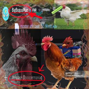 rooster ahh beat 155 f#min.wav (feat. BigBogusMan) (Explicit)