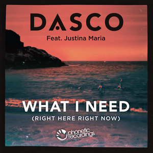 Dasco - What I Need (Right Here, Right Now) (Shoko Mix)