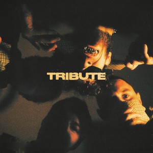 TRIBUTE(feat. НЕДРЫ)