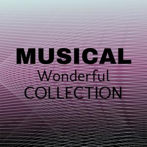 Musical Wonderful Collection