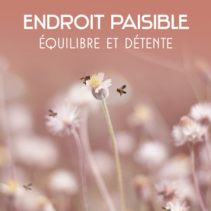 Endroit paisible: Équilibre et détente - Thérapie et guérison musique, La compilation méditation tibétaine, Musique de jardin zen