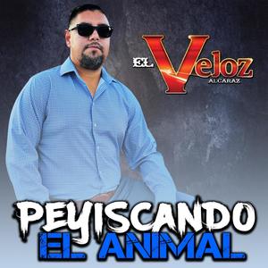 Pellizcando El Animal