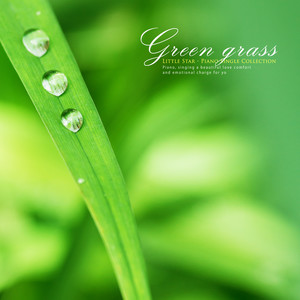 푸른 풀잎 (Green grass)