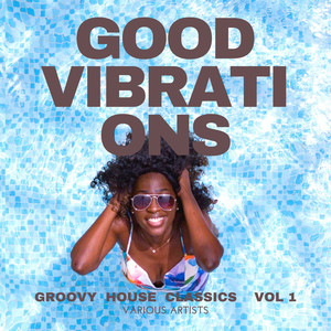 Good Vibrations (Groovy House Classics) , Vol. 1