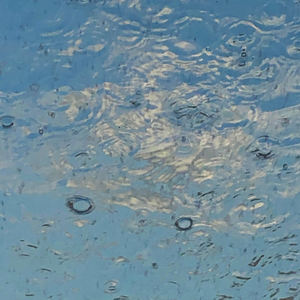 Catch a Blue Sky Nest