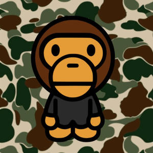 Bape Trousers (Explicit)