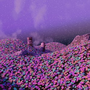 The Divine (Seek Shelter remix)