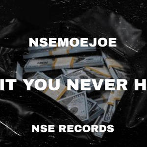 **** YOU NEVER HAD (feat. NSE CHRIS) [REMIX] [Explicit]