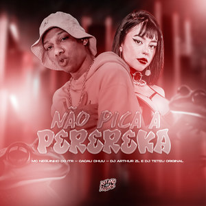 Não Pica a Perereca (Explicit)