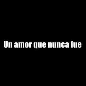 Un Amor Que Nunca Fue