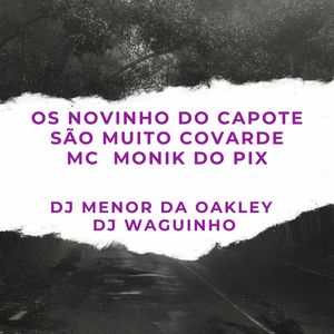Os Novinho do Capote São Muito Covarde (Explicit)