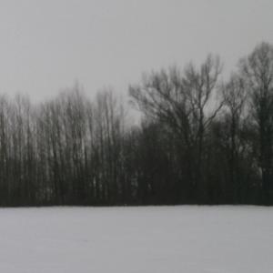 counterfiet (feat. uniivrss) (Explicit)