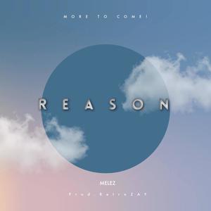 Reason (Explicit)