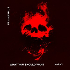 What You Should Want (Remix)