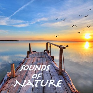 Sounds of Nature