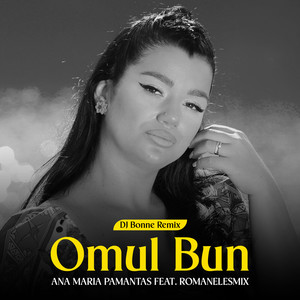 Omul bun (Dj Bonne Remix)