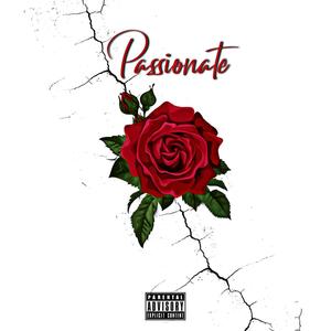 Passionate (Explicit)